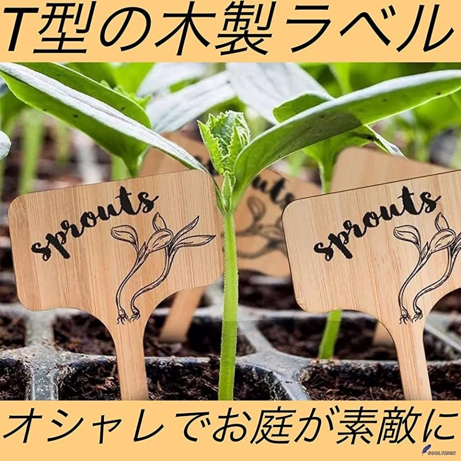 園芸ラベル 植物ラベル 植物用タグ 木製 花壇 家庭 ガーデン 50個 セット T型 ホリック Paypayモール店 通販 Paypayモール