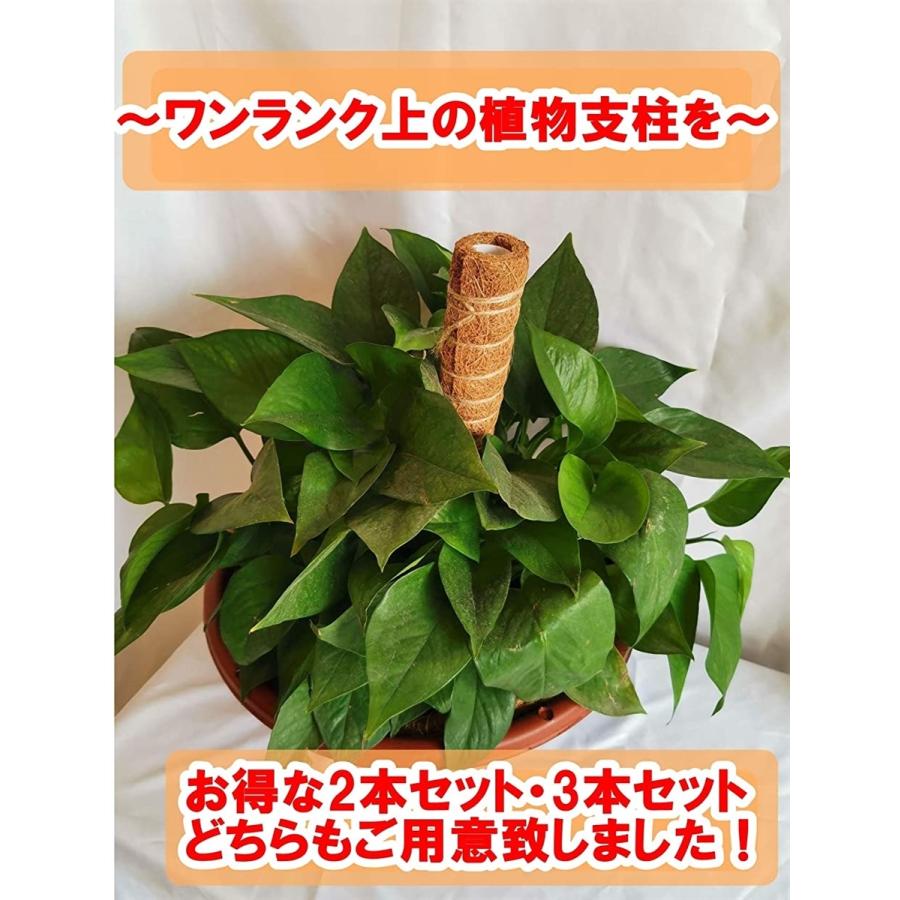 植物支柱 園芸支柱 観葉支柱 ライト 棚 土 天然ココナッツ 給水 フラワースタンド 支柱棚 園芸用 ホリック Paypayモール店 通販 Paypayモール