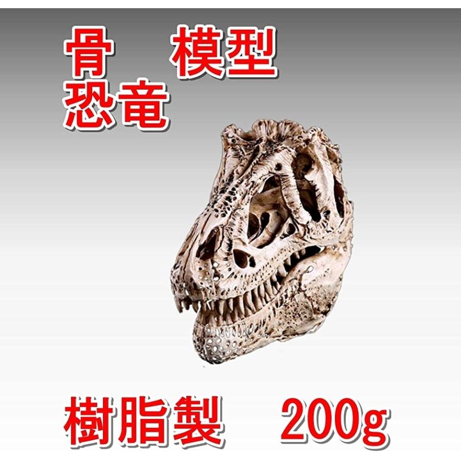 ワズチヨ 骨 模型 ほね もけい 標本 ひょうほん 骨格模型 ずがいこつ 動物 おおかみ 恐竜 ティラノザウルス 白 恐竜 180 白 ホリック Paypayモール店 通販 Paypayモール