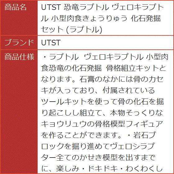 恐竜ラプトル ヴェロキラプトル 小型肉食きょうりゅう 化石発掘セット 2b65uuo6h4 ホリックワークショップ 通販 Yahoo ショッピング