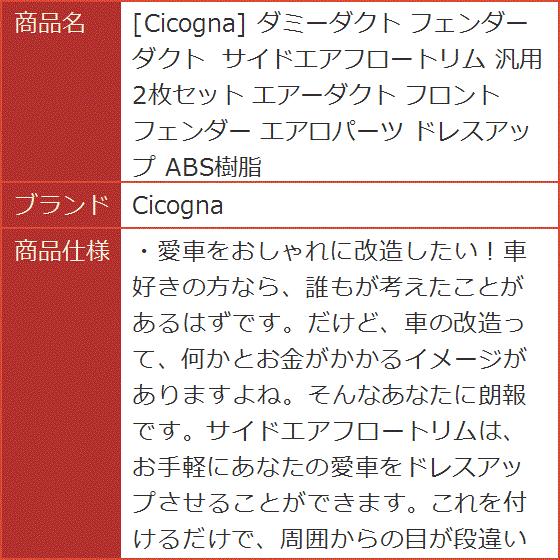 ダミーダクト フェンダーダクト サイドエアフロートリム 汎用 2枚セット エアーダクト フロントフェンダー エアロパーツ ドレスアップ|horikku|08
