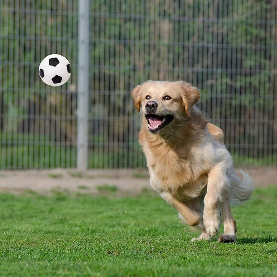 犬 おもちゃ 噛むおもちゃ ボール 安全 音が鳴る 丈夫 小型犬 サッカーボール風 3個セット ホリック Paypayモール店 通販 Paypayモール