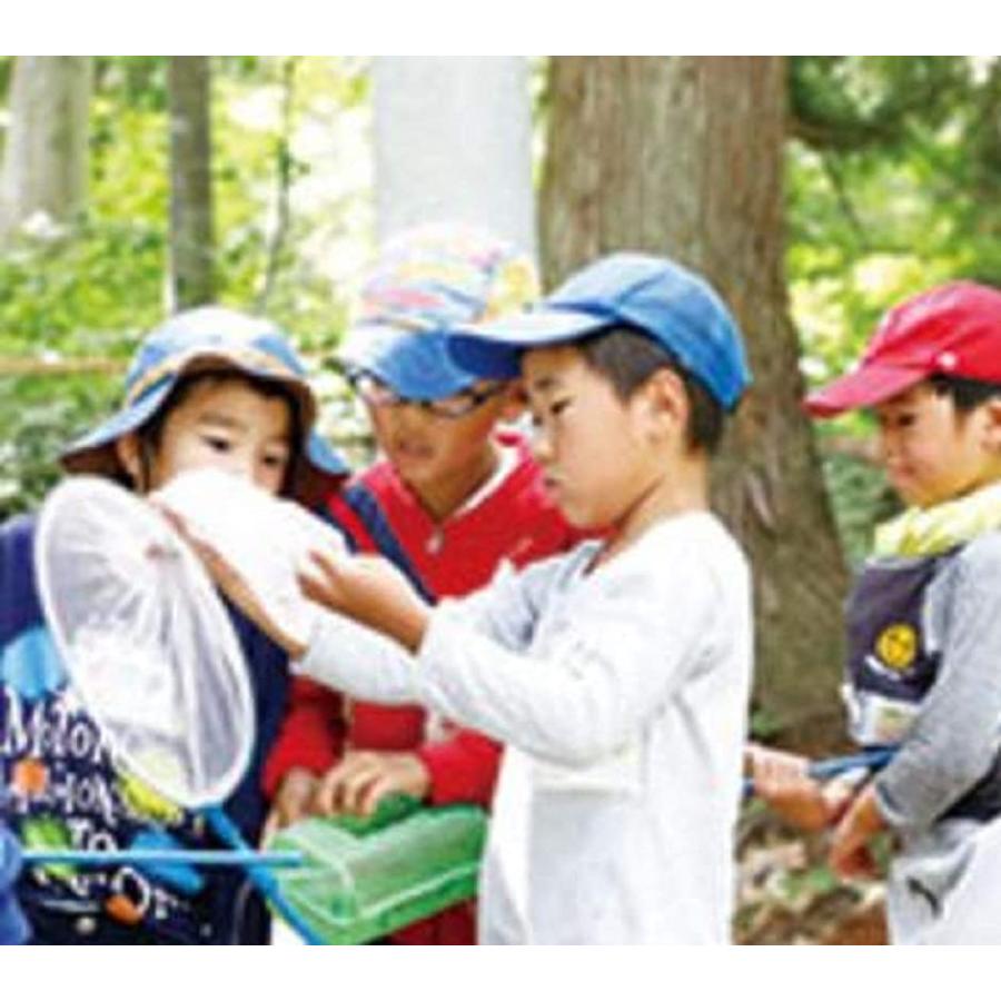 虫取り網 飼育ボックス セット 虫取りアミ 正規認証品 新規格 伸縮式 虫とり 親子 昆虫 子供 むしとり 虫かご ブルー