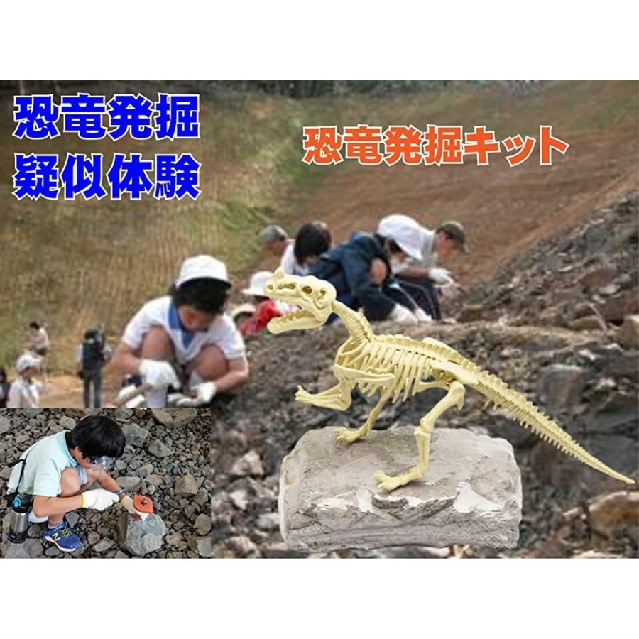 412円 評判 化石恐竜発掘セット