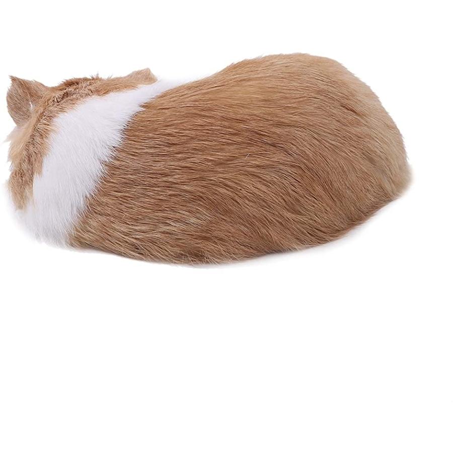 在庫限り ぬいぐるみ 猫 本物そっくり 景品 リアル 再現 寝そべり ネコちゃん ペット 置物 部屋飾り インテリア Mdm 黄色 Materialworldblog Com