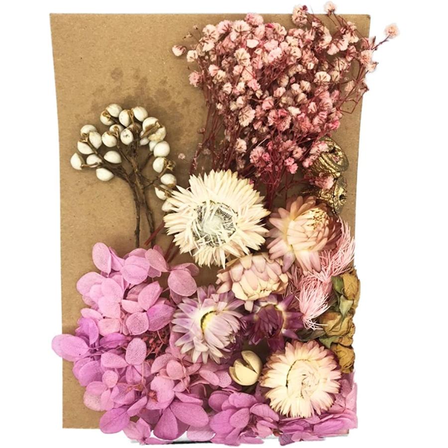 プリザーブドフラワー 花材 種類豊富ハーバリウム ドライフラワー 手芸 ハンドメイド ホビー 詰め合わせ 08 ホリック Paypayモール店 通販 Paypayモール