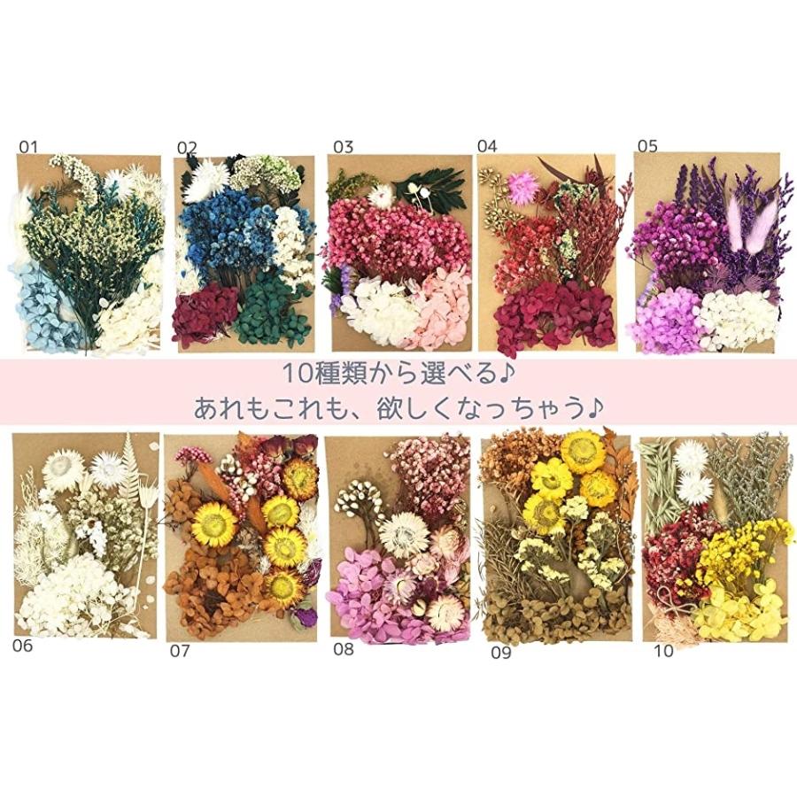 プリザーブドフラワー 花材 種類豊富ハーバリウム ドライフラワー 手芸 ハンドメイド ホビー 詰め合わせ 05 ホリック Paypayモール店 通販 Paypayモール