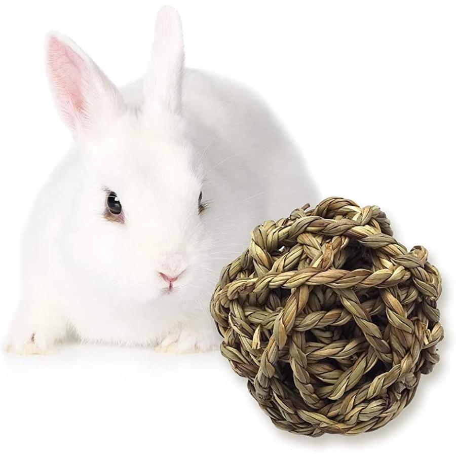 うさぎのおもちゃ ボール ストレス解消 自然素材 シーグラス 転がす かじる ホリック Paypayモール店 通販 Paypayモール