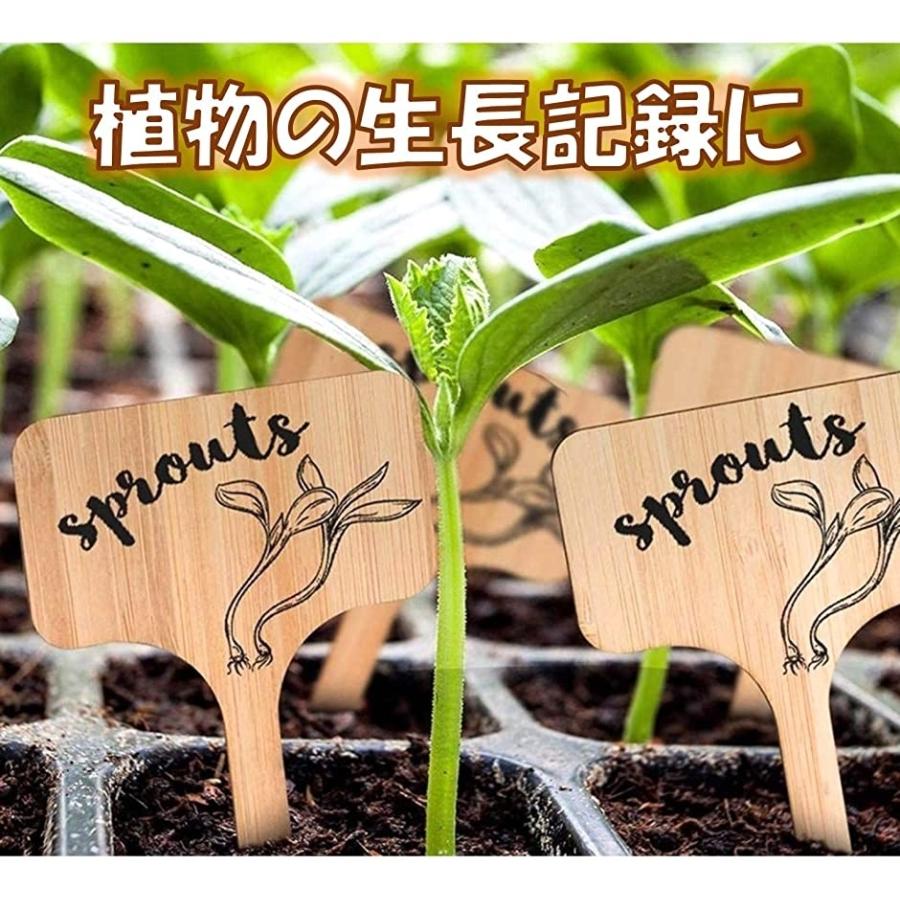 園芸ラベル 木製 ｔ型 植物ラベル タグ 植物用タグ 鉢植え ガーデニング 花壇 プランター ナチュラル ナチュラル 50枚セット ホリック Paypayモール店 通販 Paypayモール