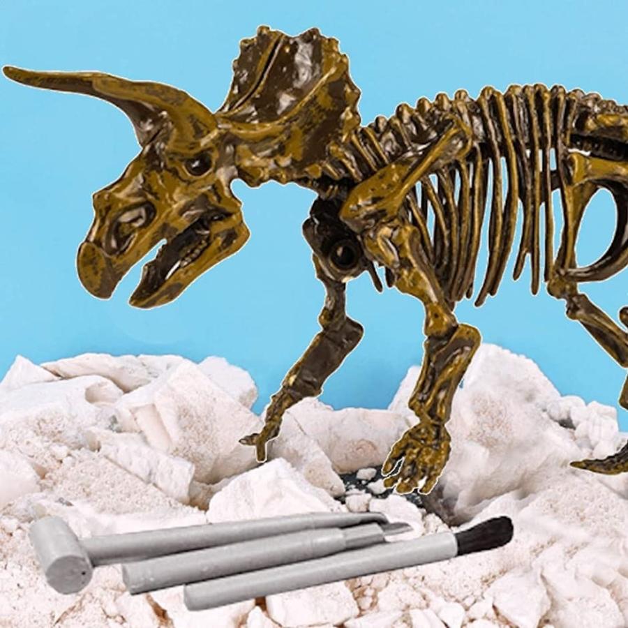 恐竜化石発掘 おもちゃ 発掘キット 恐竜の骨 Triceratops 2b6w51y2kl ホリックワークショップ 通販 Yahoo ショッピング