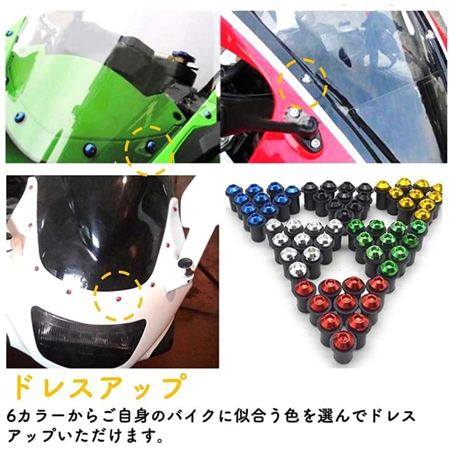 スクリーンボルト 10個 クロスレンチ ヘルメットホルダー バイク メンテナンススタンド パーツ ナット シルバー 祝日