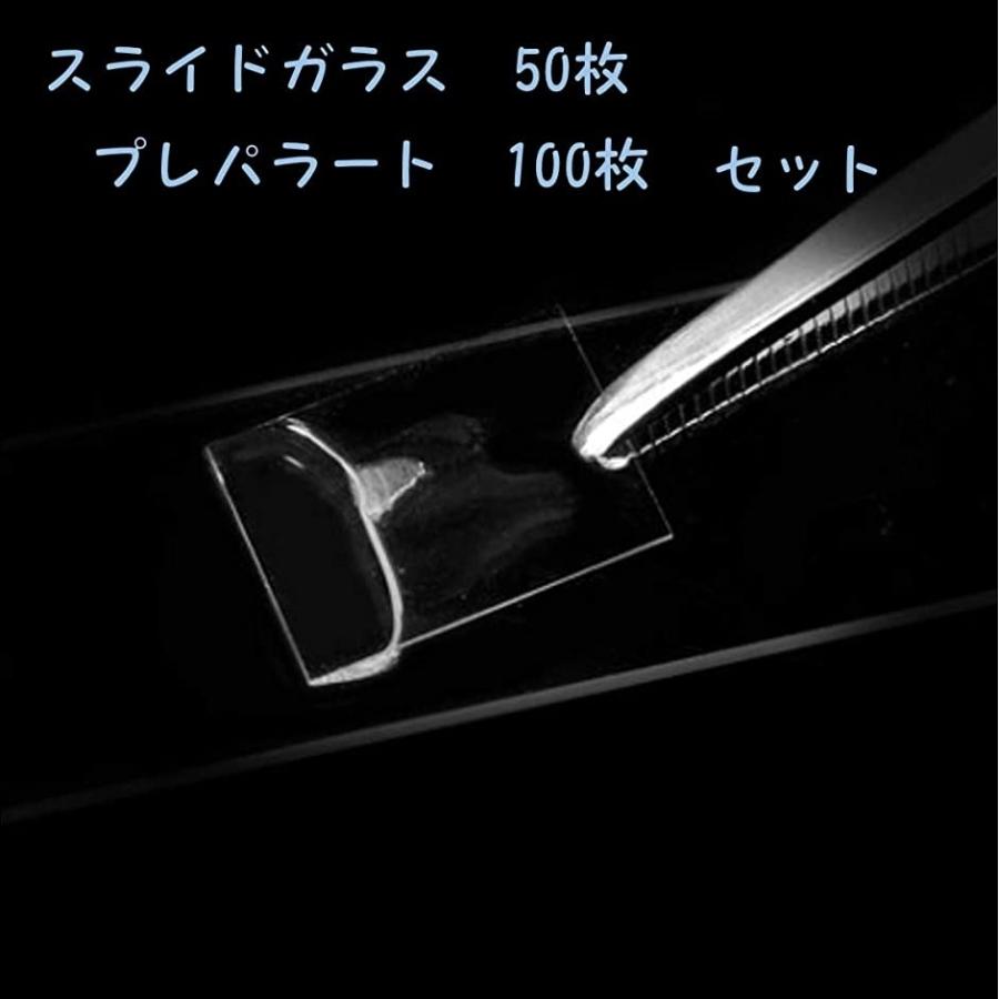 理科 研究 スライドガラス 50 枚 プレパラート 100 まとめ買いセット 顕微鏡 実験 ホリック Paypayモール店 通販 Paypayモール