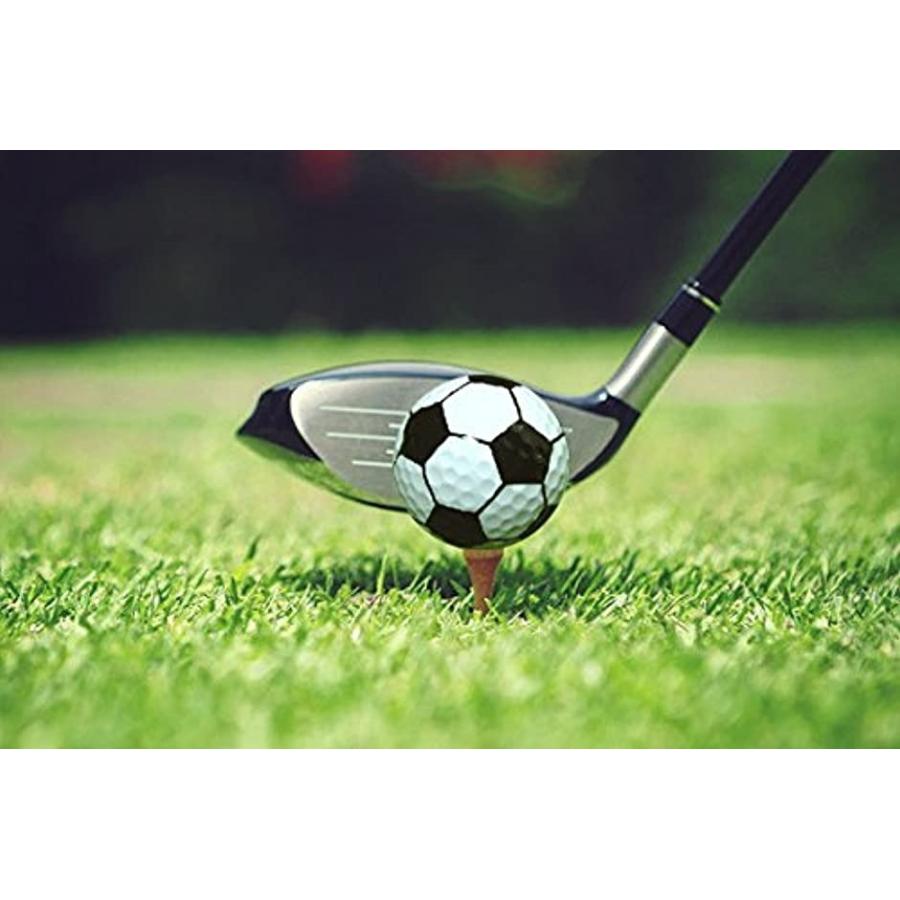 おもしろ ゴルフボール セクシー ティー スポーツ ユニーク 景品 6種類 1ダース 12個 6種類 1ダース 12個 スピード発送 ホリック Paypayモール店 通販 Paypayモール