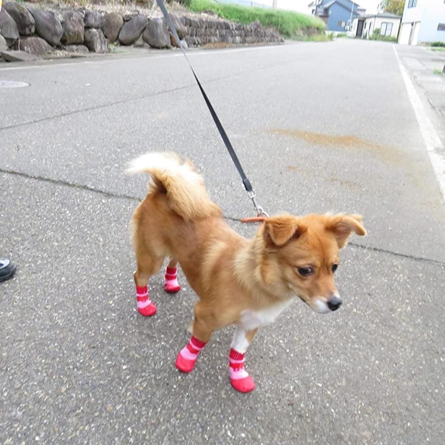 大幅にプライスダウン 犬用ソックス 靴下 滑り止め 面ファスナー付き L L ４個セット レッド