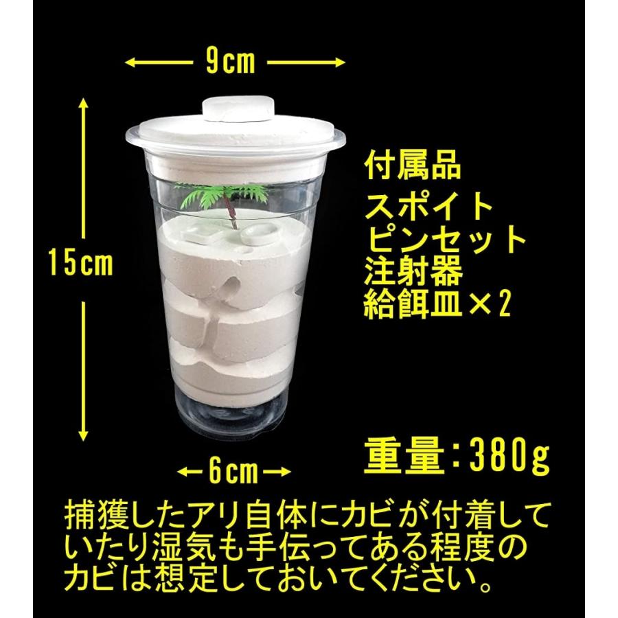 アリの飼育 アリの巣 観察キット飼育キット アリ城 コロニー 生物 自由研究 生体 カップ型 ホリック Paypayモール店 通販 Paypayモール