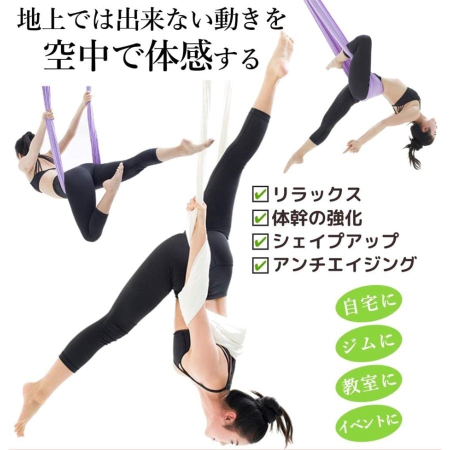 55 以上節約 ギグアント エアリアルヨガ 5ｍx2 8ｍ ハンモック 単体 空中ヨガ 反重力 エクササイズ エアロ ラブポーション Wantannas Go Id