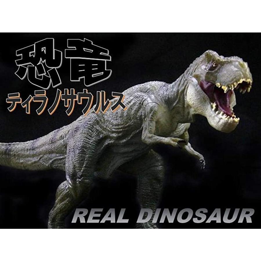ウィスアイランド 大迫力 リアル ダイナソー 恐竜 怪獣 フィギュア ティラノサウルス Mdm ホリック Paypayモール店 通販 Paypayモール