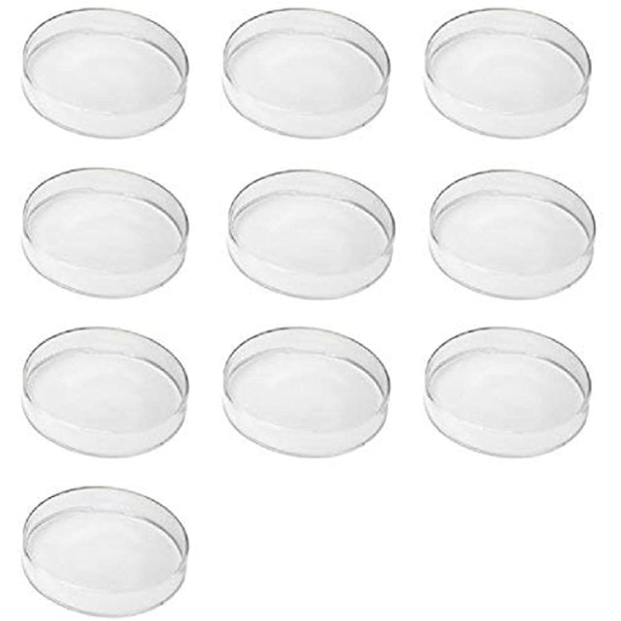 培養用 皿 シャーレ ペトリ皿 143mmx16mm ポリスチレン プラスチック容器 10個 クリア 143mm 2b8rp8x2dh ホリックワークショップ 通販 Yahoo ショッピング