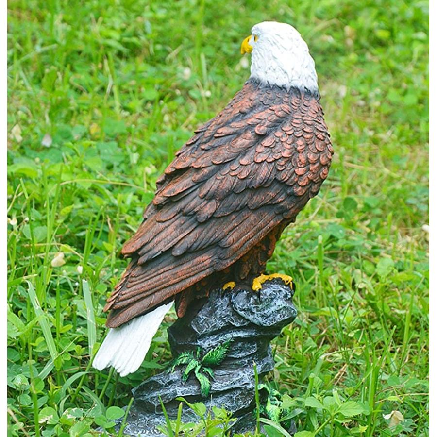 出群 害鳥対策 30cm級 鷹 ホーク 置物 スズメ カラス ムクドリ ハト コウモリ の被害激減 デコイ 樹脂製で耐久性 30cm 3 680円 Aynaelda Com