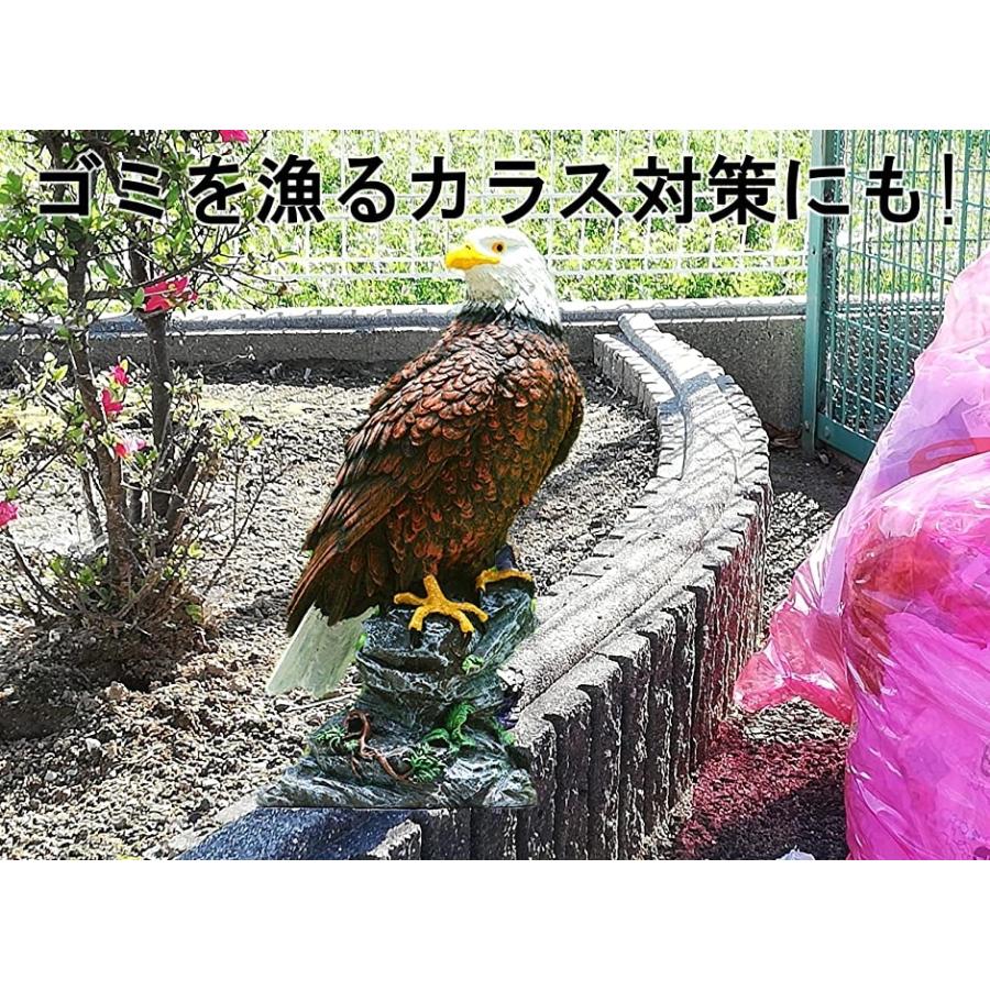 出群 害鳥対策 30cm級 鷹 ホーク 置物 スズメ カラス ムクドリ ハト コウモリ の被害激減 デコイ 樹脂製で耐久性 30cm 3 680円 Aynaelda Com