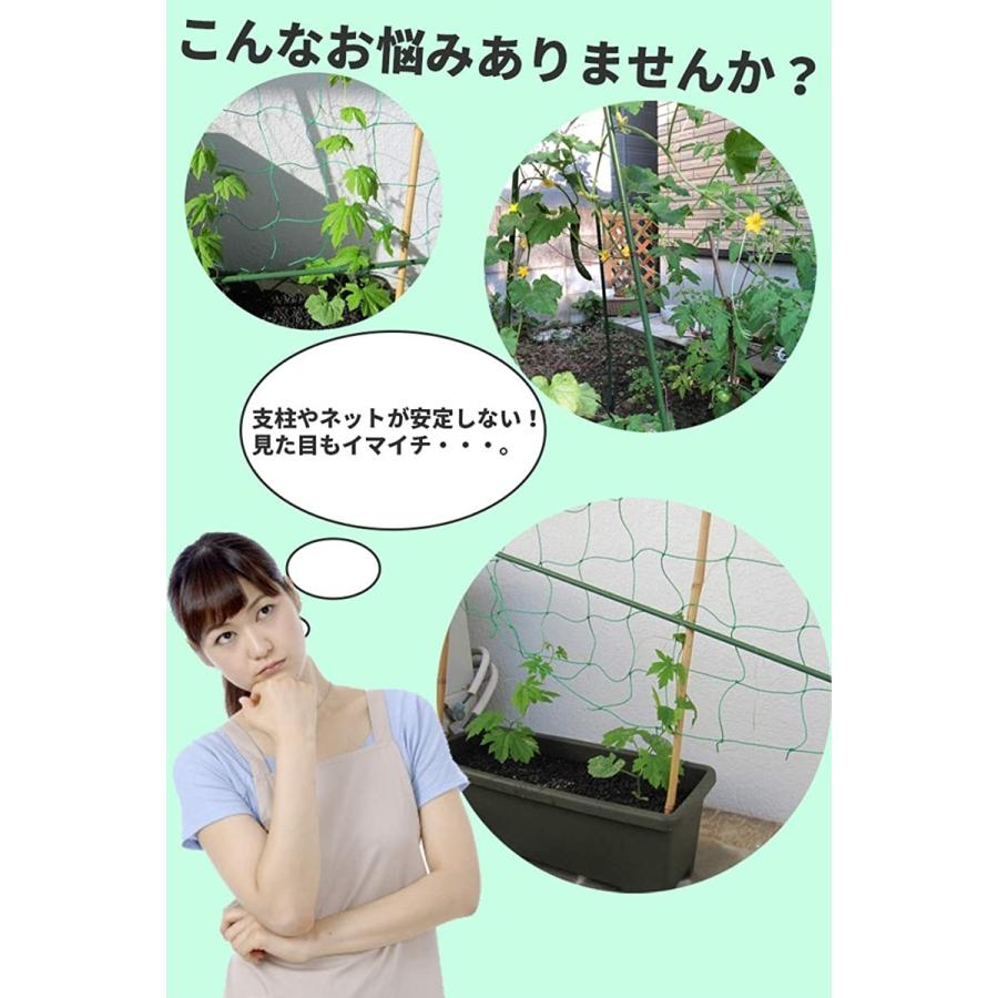 菜園クロスバンド 支柱 固定 ジョイント 家庭菜園 農作業 園芸 園芸支柱 11ミリ スピード発送 ホリック Paypayモール店 通販 Paypayモール