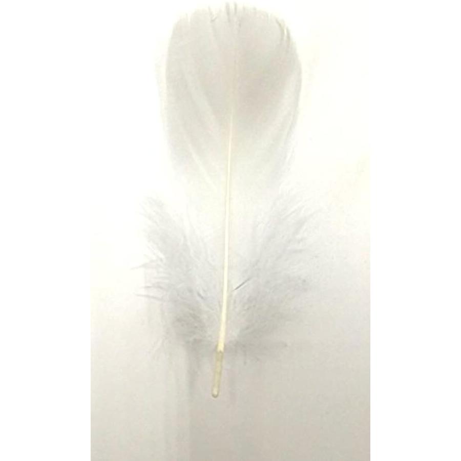 贈与 フェザーシャワー ホワイト 羽 結婚式 イベントなどに 300枚 Wantannas Go Id