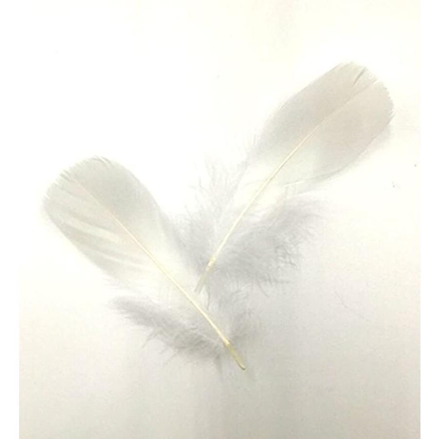 贈与 フェザーシャワー ホワイト 羽 結婚式 イベントなどに 300枚 Wantannas Go Id