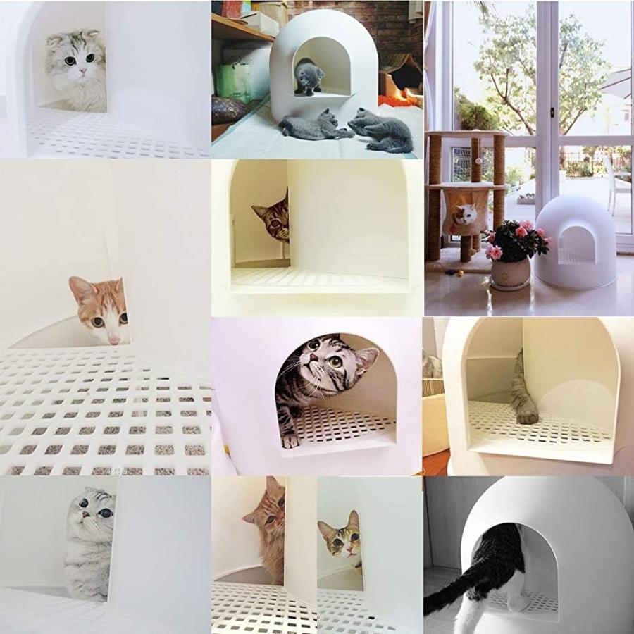 トアワード 猫用トイレ 猫用キャットトイレ スノードーム型 専用スコップ付 ホワイト ホワイト 50x55x56cm スピード発送 ホリック Paypayモール店 通販 Paypayモール レッドドッ Www Gostivari Gov Mk