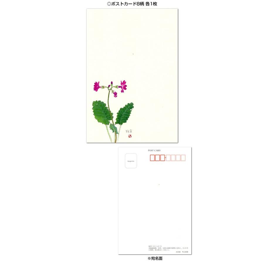 はがき集 折々の花たち（無罫） 30-524 外山康雄 表現社 : 堀萬昭堂