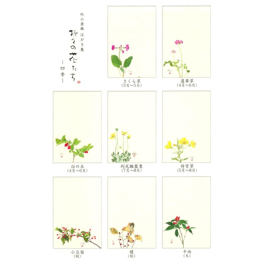 はがき集 折々の花たち（無罫） 30-524 外山康雄 表現社 : 堀萬昭堂