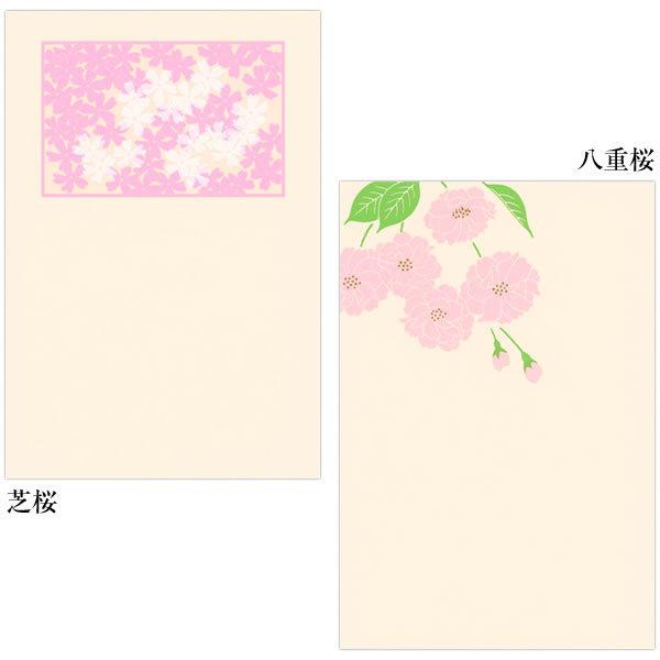 鳩居堂 春のハガキ 桜柄 7枚セット Kyu 48 芝桜 八重桜 しだれ桜 夜桜 桜吹雪 シルクスクリーン印刷 きゅうきょどう ポストカード はがき Kyu 48 堀萬昭堂 ヤフー店 通販 Yahoo ショッピング