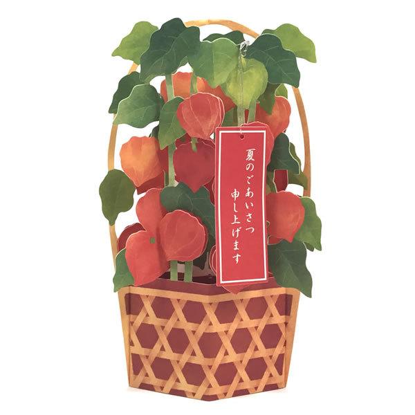 グリーティングカード 多目的 夏カード 鉢植えほおずき S4235 サンリオ 立体カード ポップアップ 飛び出す 多用途 サマー