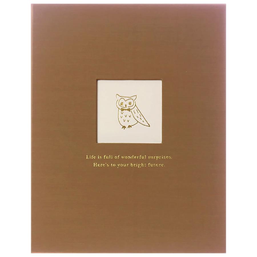 シンプル色紙 フクロウ Syg 06 二つ折り 表紙窓付き 寄せ書き ウエディング 出産 退職 卒業 メッセージシール21人分 タイトルシール1枚 リュリュ Syg 06 堀萬昭堂 ヤフー店 通販 Yahoo ショッピング