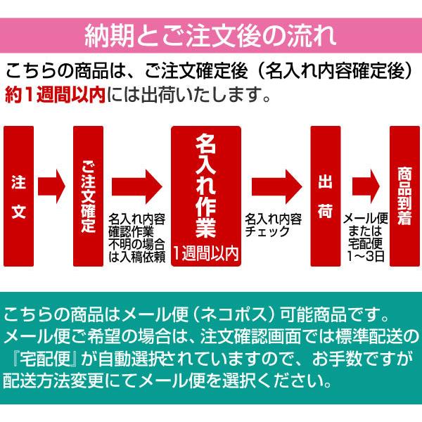 三菱鉛筆 鉛筆1ダースと金箔押し名入れのセット品 ユニスター 三角