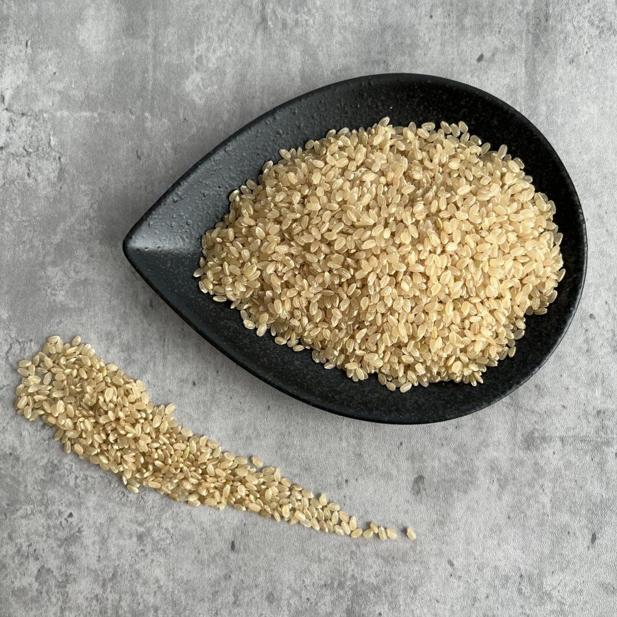 ＜令和７年度産・新米＞ 堀本商店 ふっくら玄米 10 kg 銘柄：ひとめぼれ(宮城県産)_3
