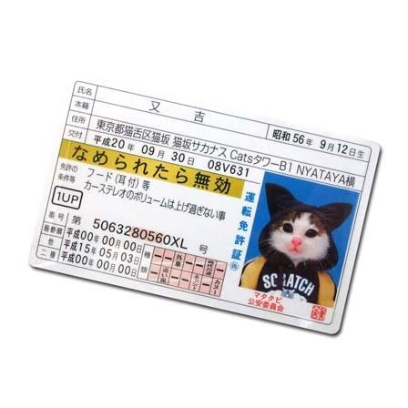 懐かしい　レア物　「なめんなよ」カードケース　カード３枚 カード 【30円×20付】なめんなよ カードコレクション2(1個入) : 堀商店