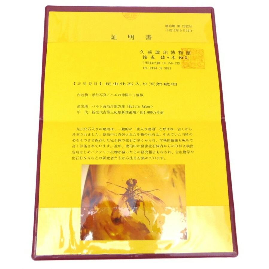 天然石 琥珀 ルース 21.766ct 虫入り こはく(56421)の画像