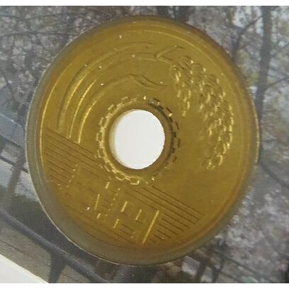 桜の通り抜け貨幣セット 平成20年 ミントセット 2008年 普賢象(62470