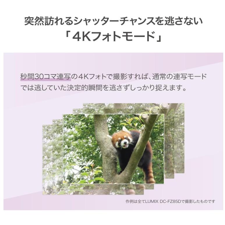LUMIX パナソニック Panasonic デジタルカメラ DC-FZ85D-K(67903