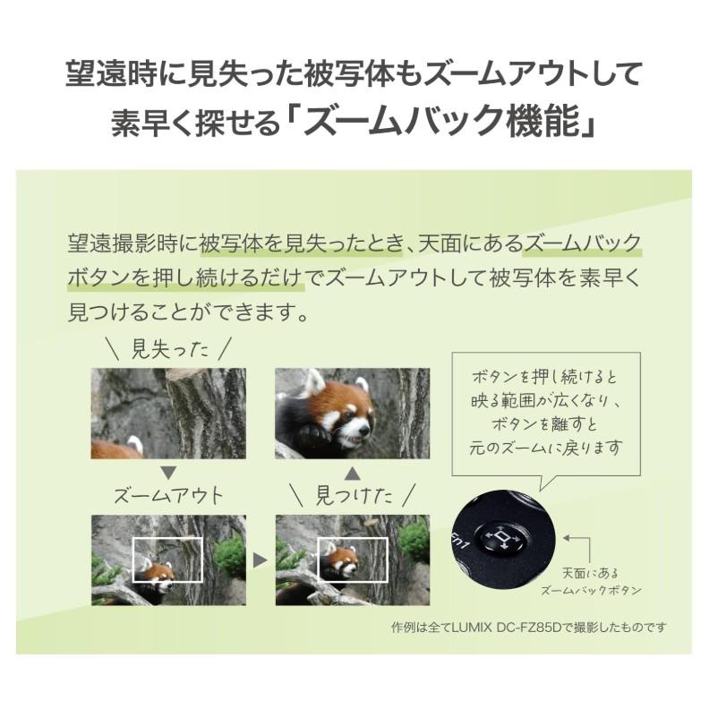 LUMIX パナソニック Panasonic デジタルカメラ DC-FZ85D-K(67903