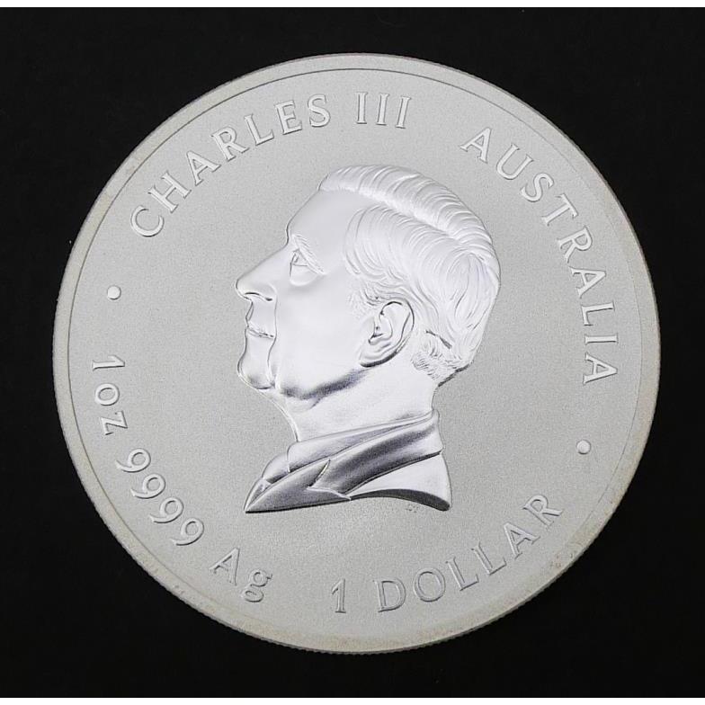 オーストラリア 干支銀貨 1オンス 巳 2025年 シルバーコイン 蛇 【中古