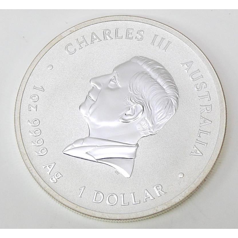 オーストラリア 干支銀貨 1オンス 巳 2025年 シルバーコイン 蛇 【中古
