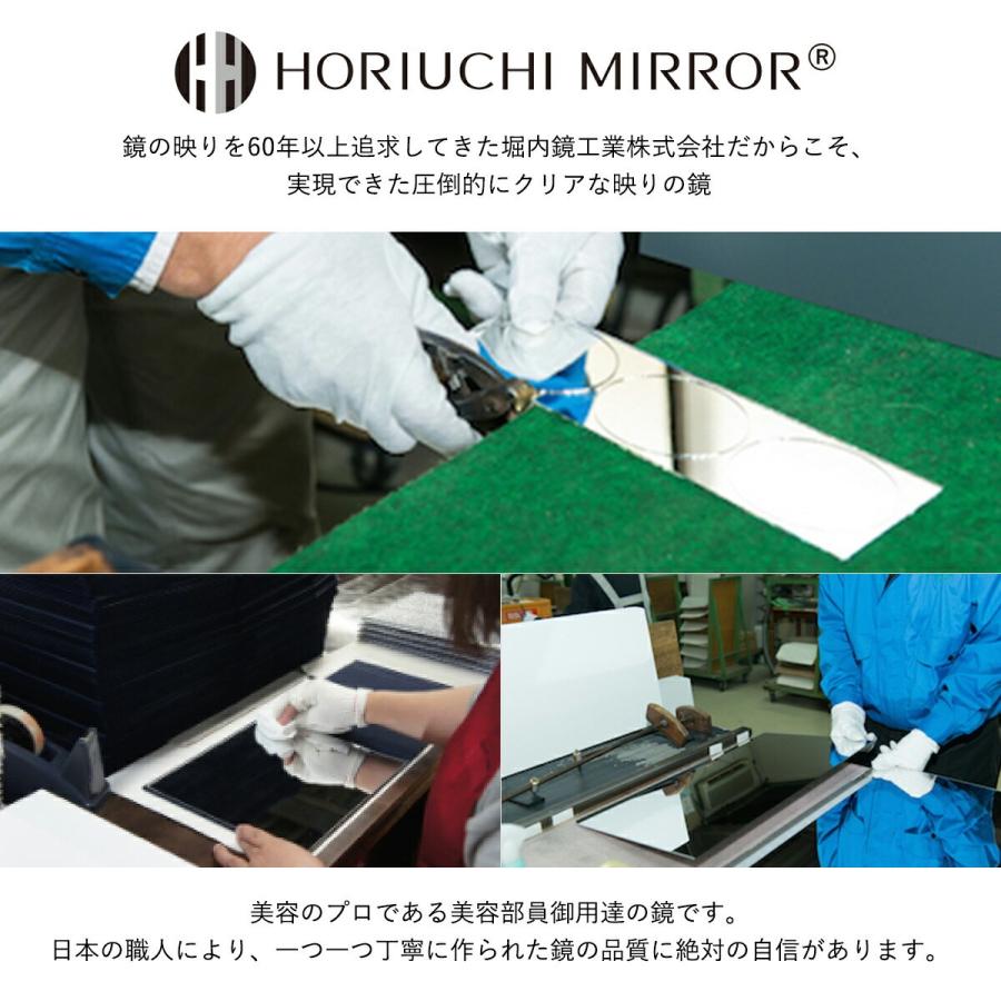 HORIUCHI MIRROR（ホリウチミラー） 堀内鏡工業 髪染め ウィッグ用