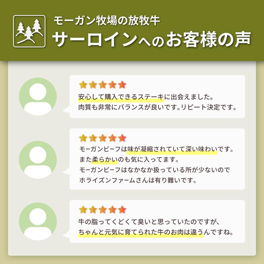USDA プライム 霜降り 冷凍 牛肉 サーロインステーキ 200g ホルモン剤不使用 抗生物質不使用 ホルモンフリー アンガス牛｜horizonfarms｜16