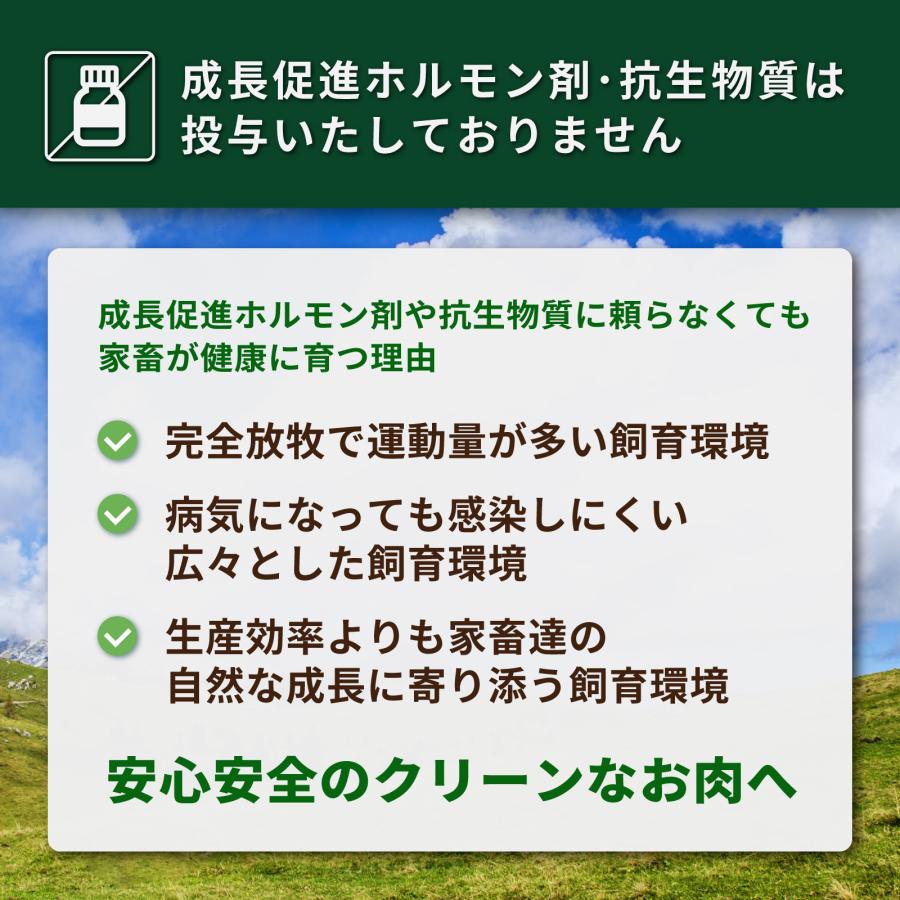 グラスフェッドビーフ プレミアム 冷凍 牛肉 角切り 煮込み・カレー・シチュー用 300g 牧草牛 ホルモン剤不使用 抗生物質不使用 パスチャーフェッド｜horizonfarms｜10