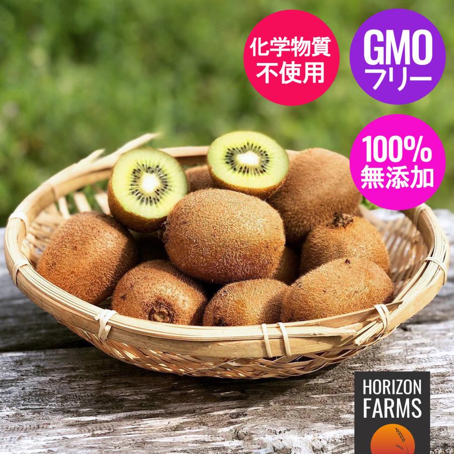 有機 JAS オーガニック フルーツ 冷凍 キウイ 無農薬 化学肥料不使用