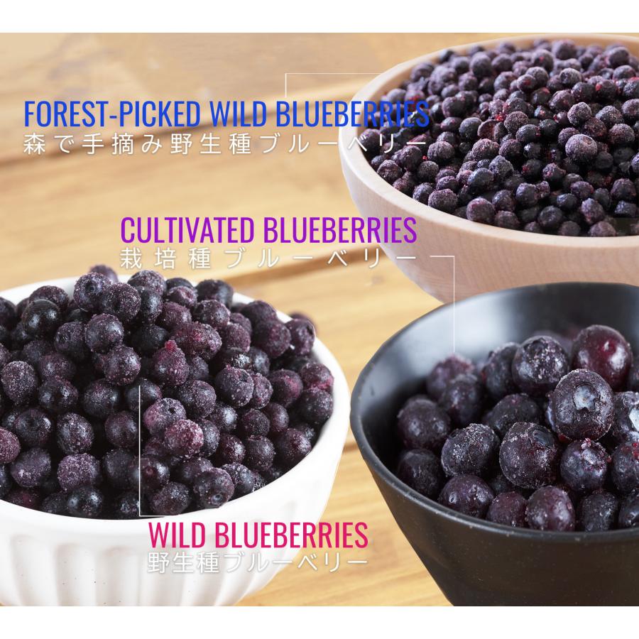 無添加 冷凍 ブルーベリー チリ産 化学物質不使用 1kg 無添加ベリー