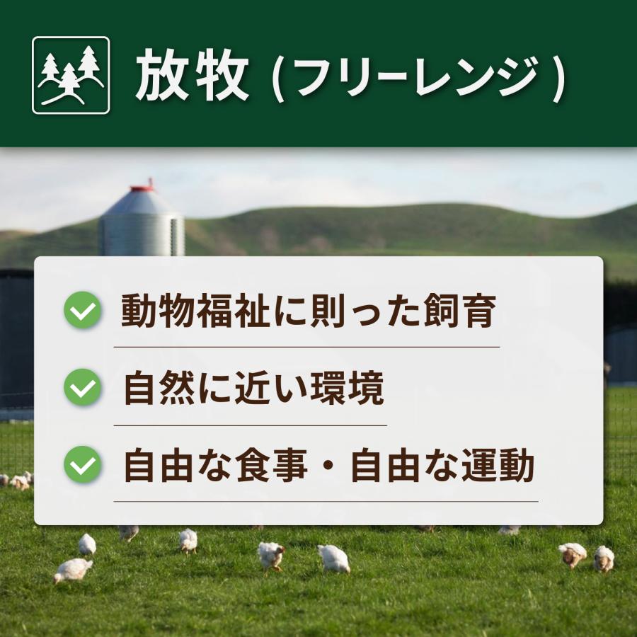 無添加 保存料不使用 グラスフェッドビーフ ボーンブロス スープの素