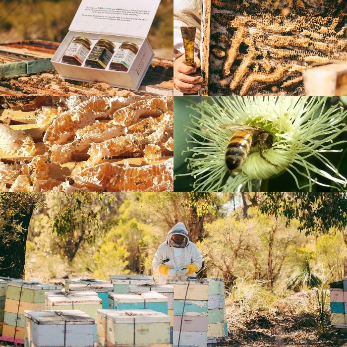 生蜂蜜 天然 無添加 はちみつ ジャラ ハニー TA 50+ オーストラリア産