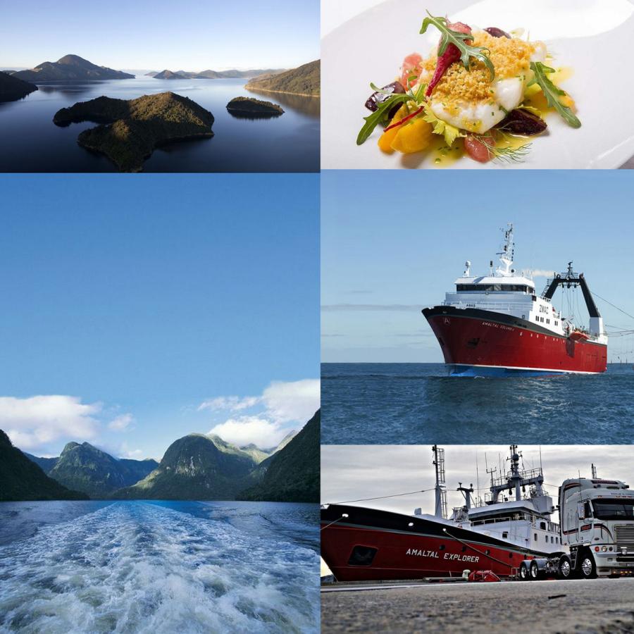 ニュージーランド産 冷凍 天然 白身魚 ホキ 骨無し 切り身 750g 骨抜き 白身 フィレ フィーレ 骨なし魚 Sf705 Horizon Farms 通販 Yahoo ショッピング